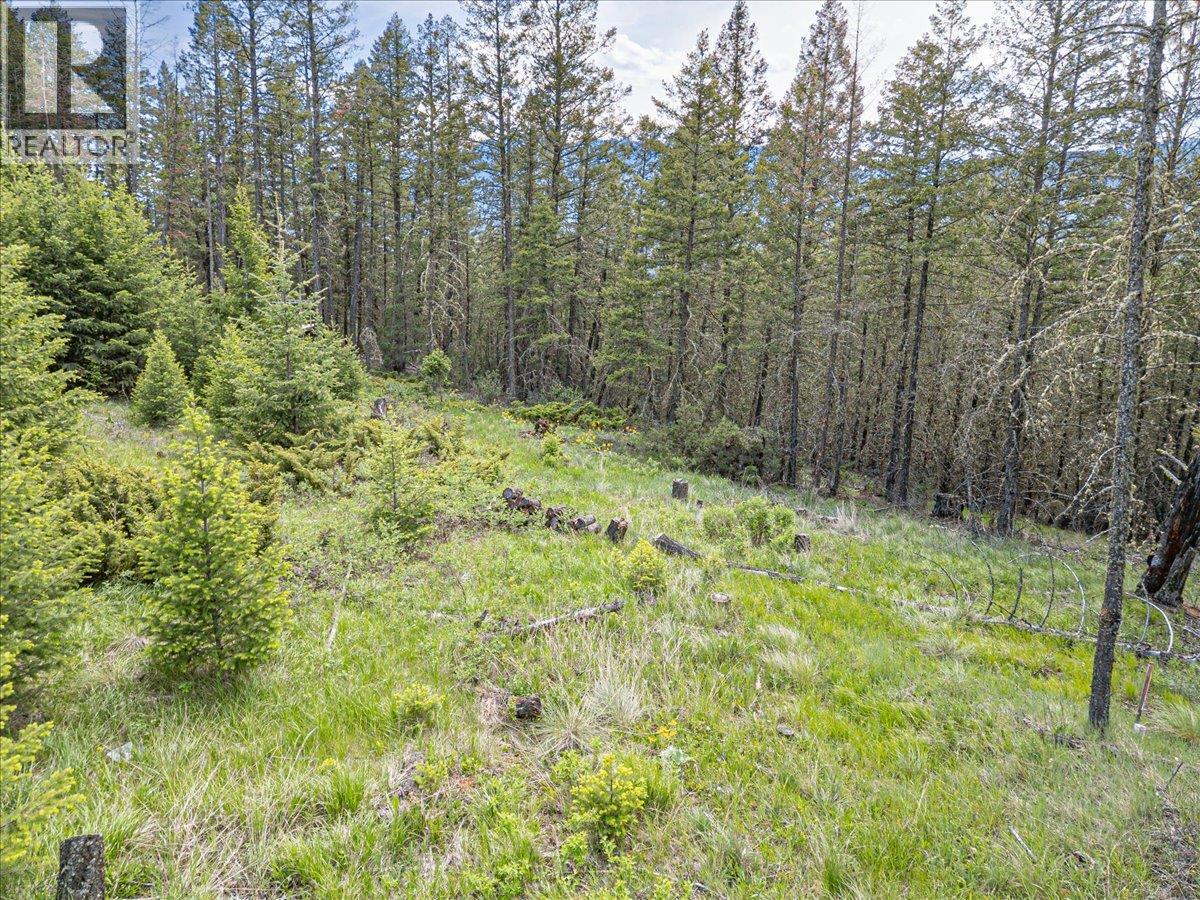 Lot 22 Mountain View Drive, Fairmont Hot Springs, British Columbia  V0B 1L1 - Photo 18 - 10388875