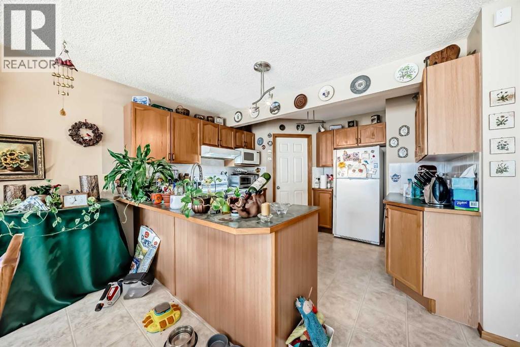 203 West Lakeview Circle, Chestermere, Alberta  T1X 1M5 - Photo 4 - A2310713