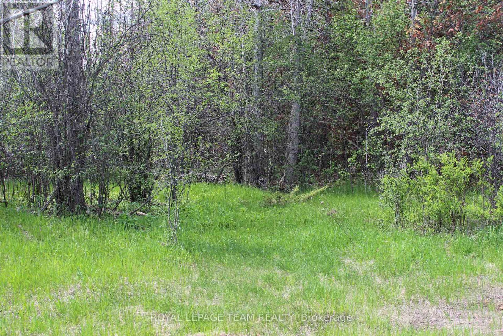3475 Hwy 17 Highway, Ottawa, Ontario  K0A 1L0 - Photo 6 - X13211632