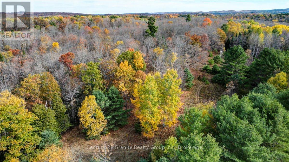 482 Old L'amable Road, Bancroft, Ontario  K0L 1C0 - Photo 36 - X13209048