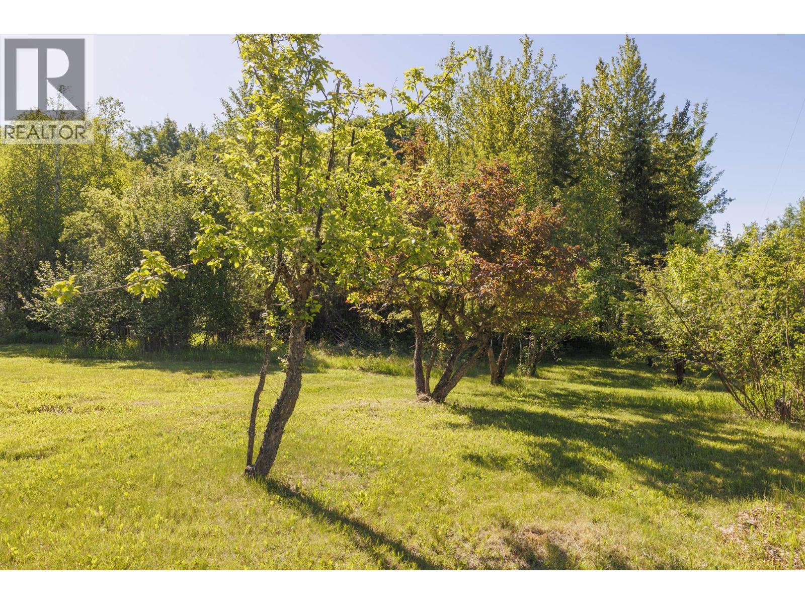 2880 Mountain View Road, Mcbride, British Columbia  V0J 2E0 - Photo 10 - R3129358