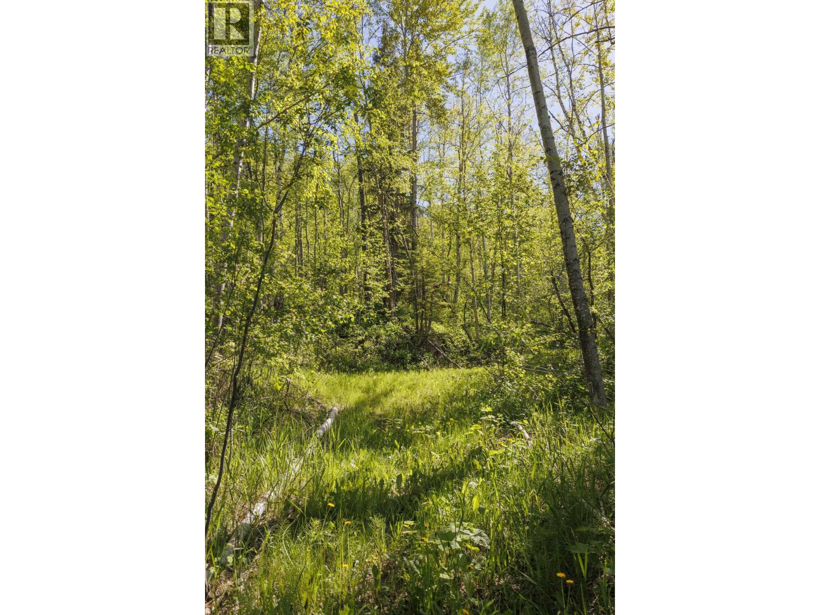 2880 Mountain View Road, Mcbride, British Columbia  V0J 2E0 - Photo 13 - R3129358