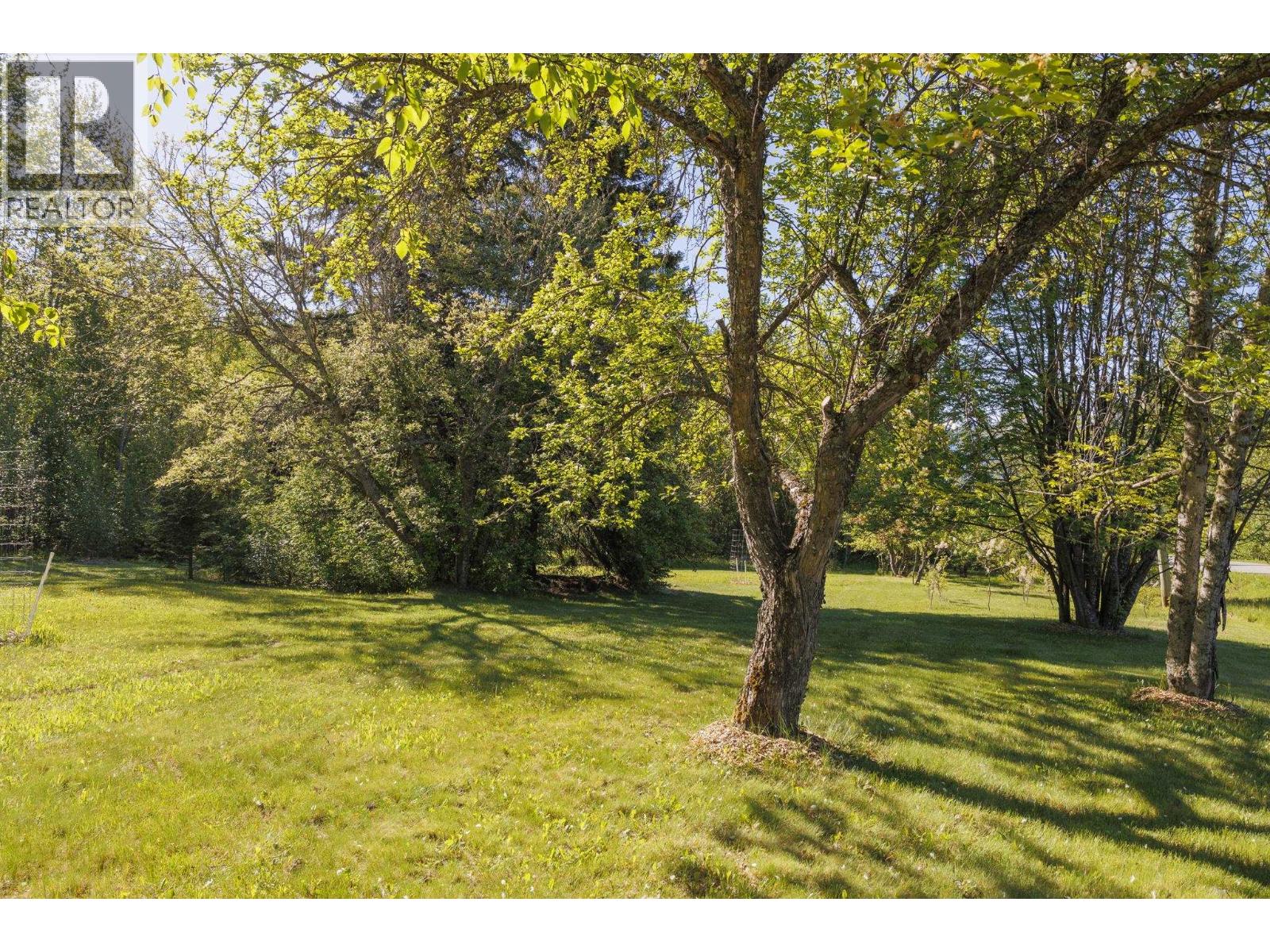 2880 Mountain View Road, Mcbride, British Columbia  V0J 2E0 - Photo 9 - R3129358