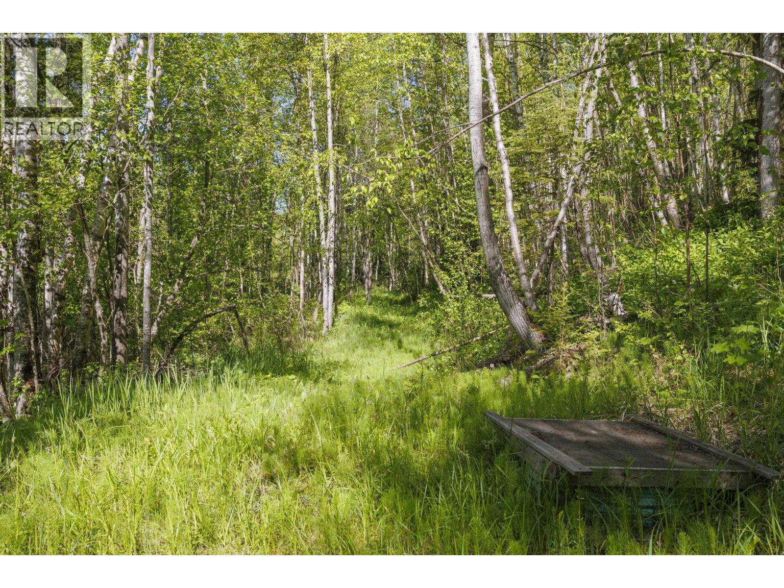 2880 Mountain View Road, Mcbride, British Columbia  V0J 2E0 - Photo 14 - R3129358