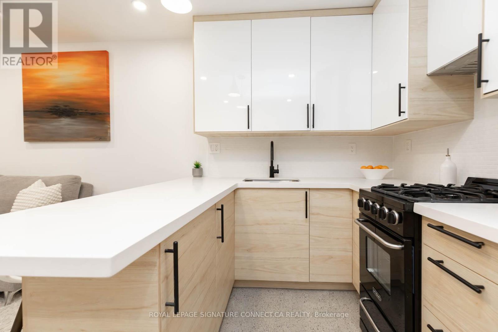 Lower - 55 Dearbourne Avenue, Toronto, Ontario  M4K 1M6 - Photo 10 - E13211734