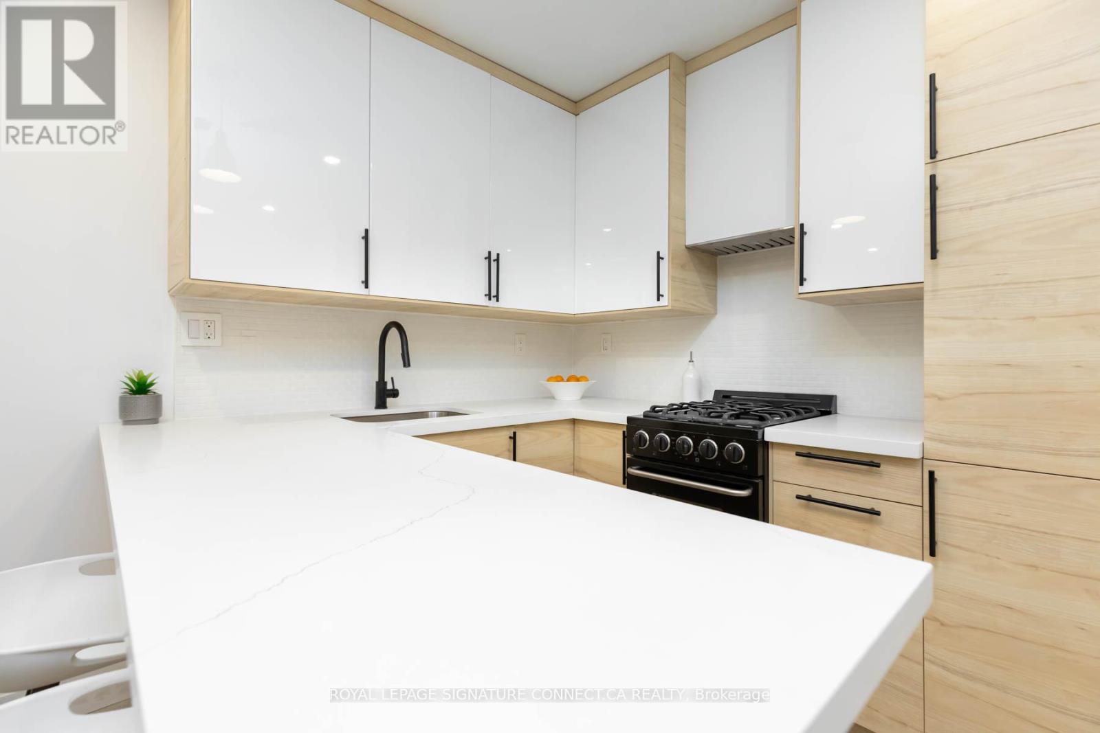 Lower - 55 Dearbourne Avenue, Toronto, Ontario  M4K 1M6 - Photo 11 - E13211734