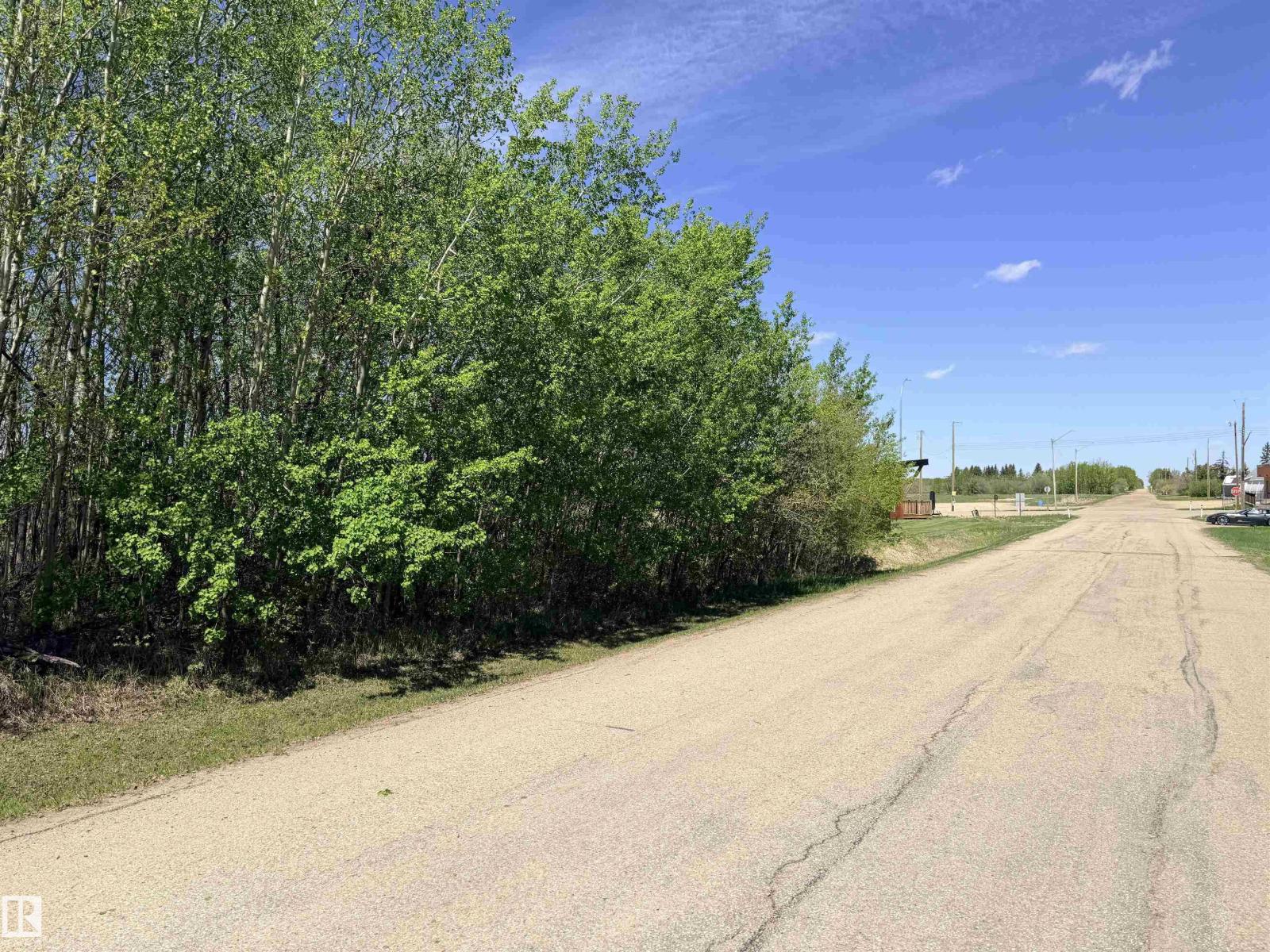 50 Ave. 52 St., Rural Westlock County, Alberta  T0G 0H0 - Photo 7 - E4490583