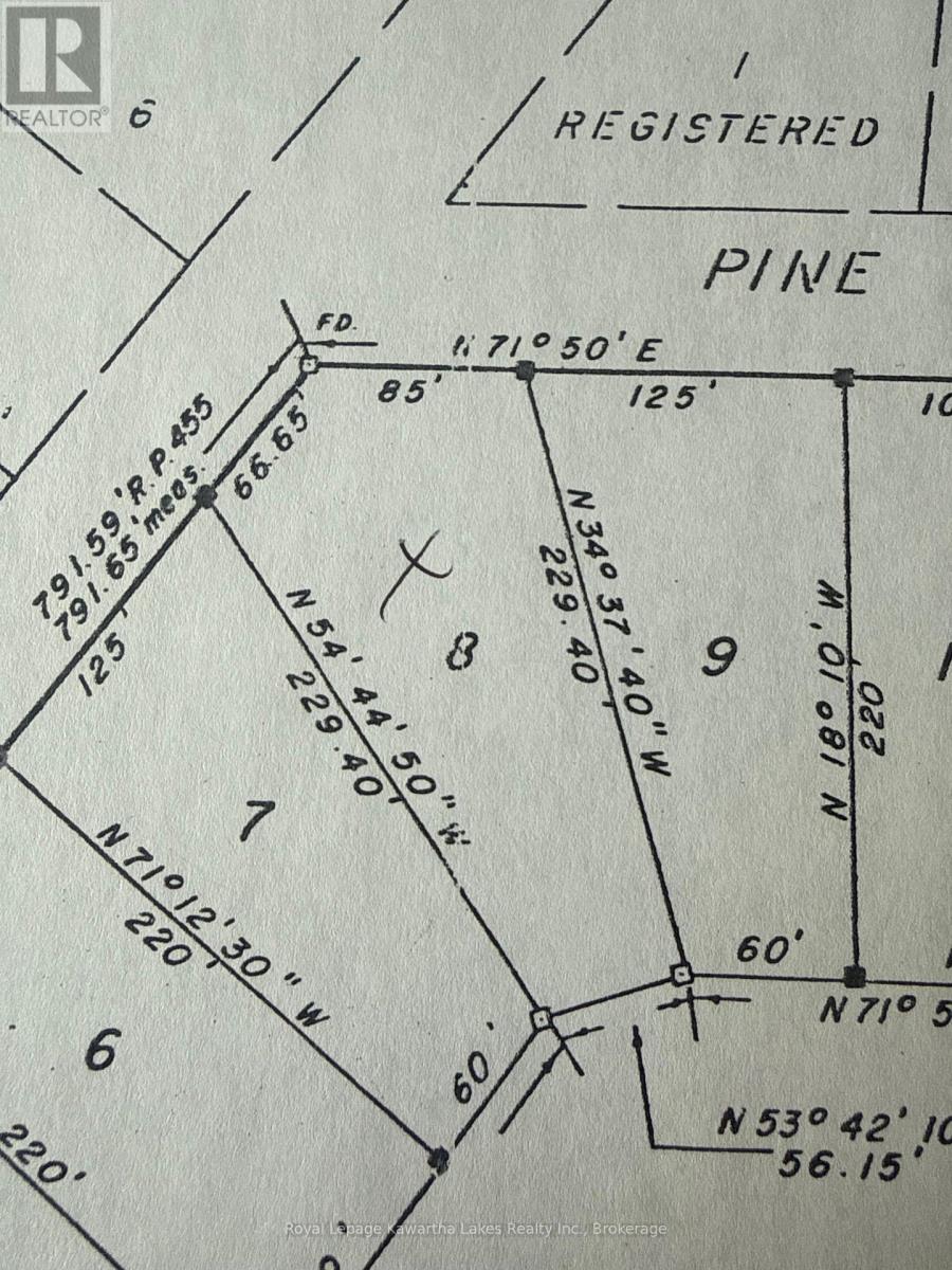 0 Government Dock Road, Kawartha Lakes, Ontario  K0M 2L0 - Photo 10 - X13211952