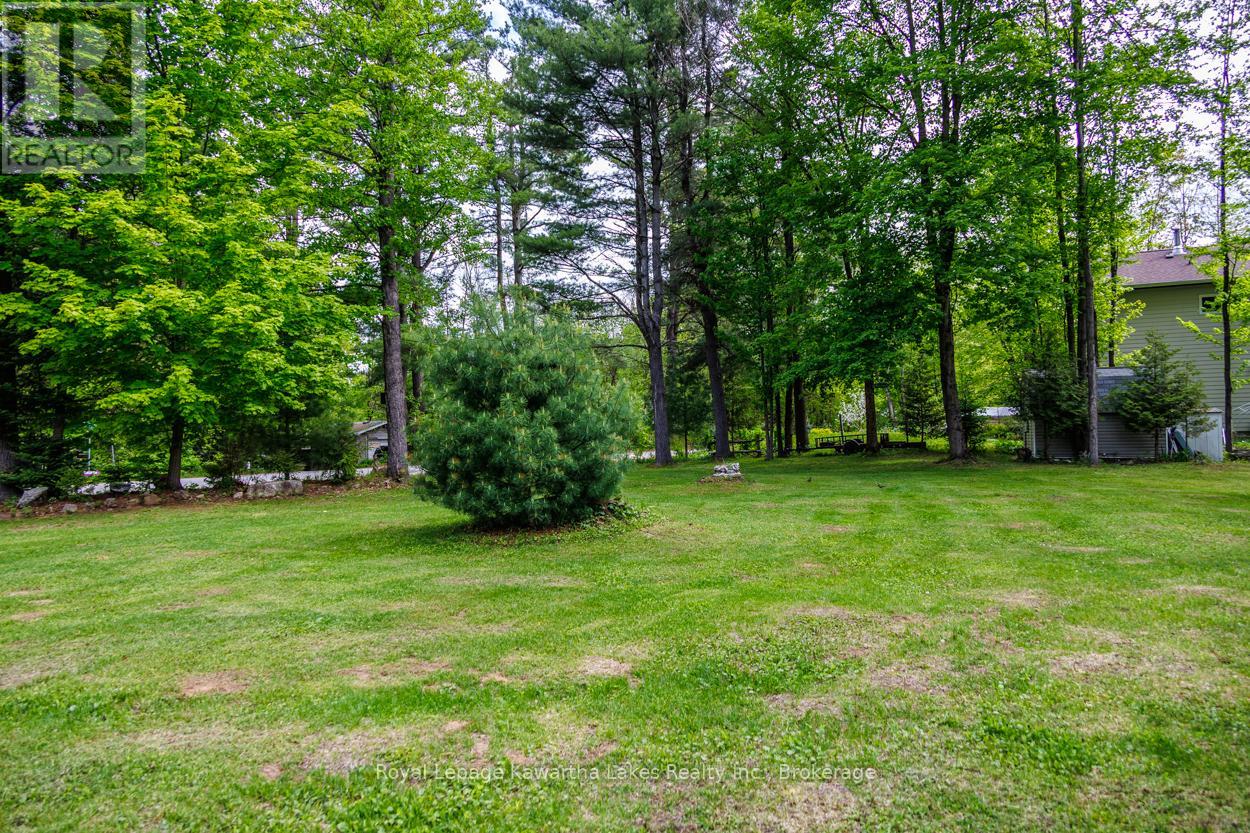 0 Government Dock Road, Kawartha Lakes, Ontario  K0M 2L0 - Photo 12 - X13211952