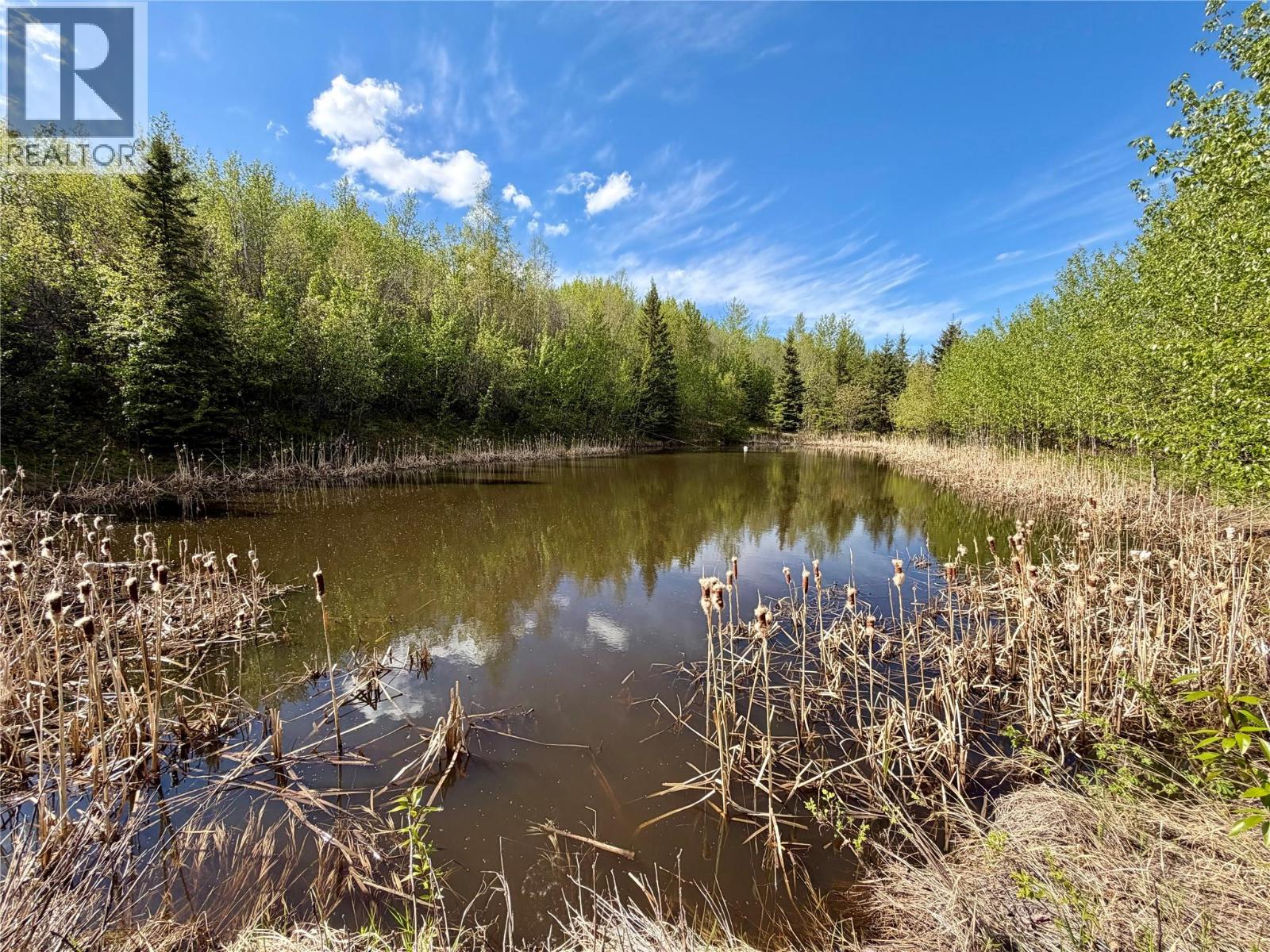 2327 Loiselle Subdivision, Dawson Creek, British Columbia  V1G 0C2 - Photo 4 - 10389141