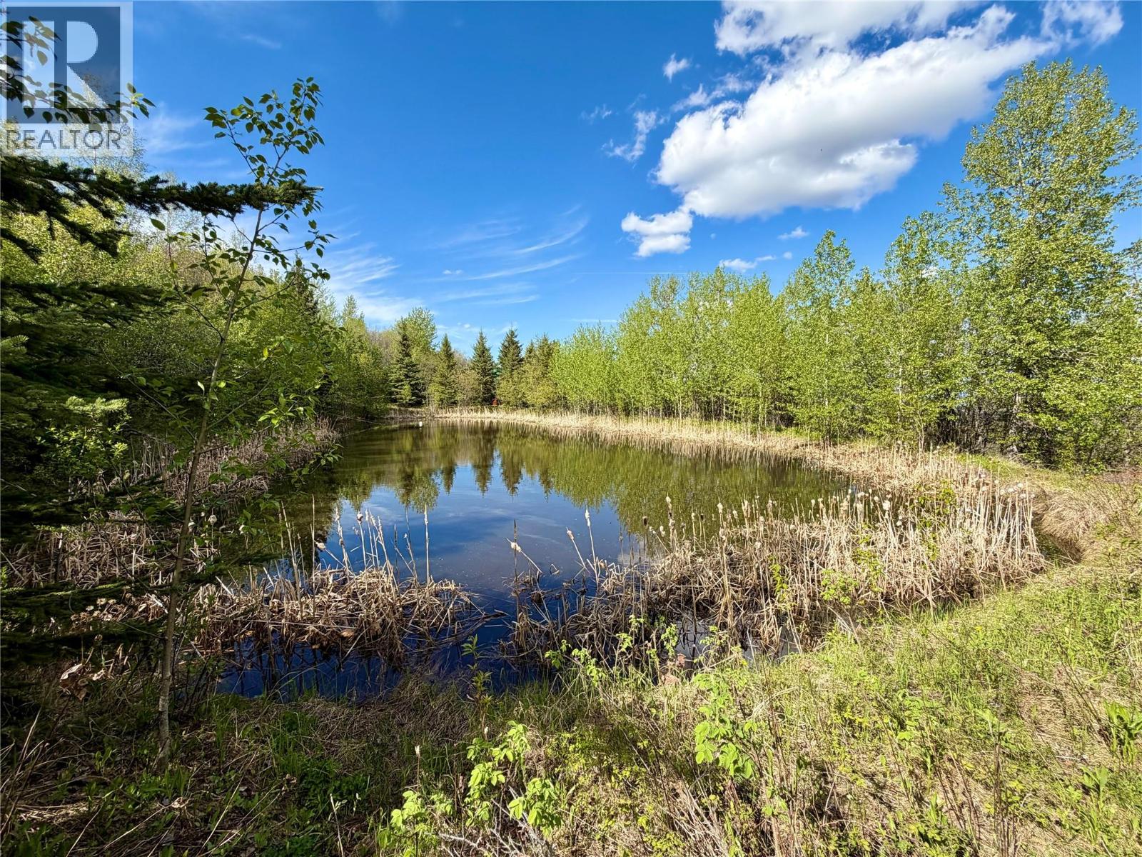 2327 Loiselle Subdivision, Dawson Creek, British Columbia  V1G 0C2 - Photo 51 - 10389141