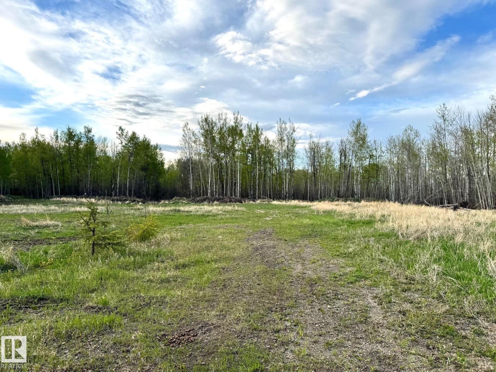 6206 Hwy 16, Rural Parkland County, Alberta  T0E 0W0 - Photo 7 - E4489251