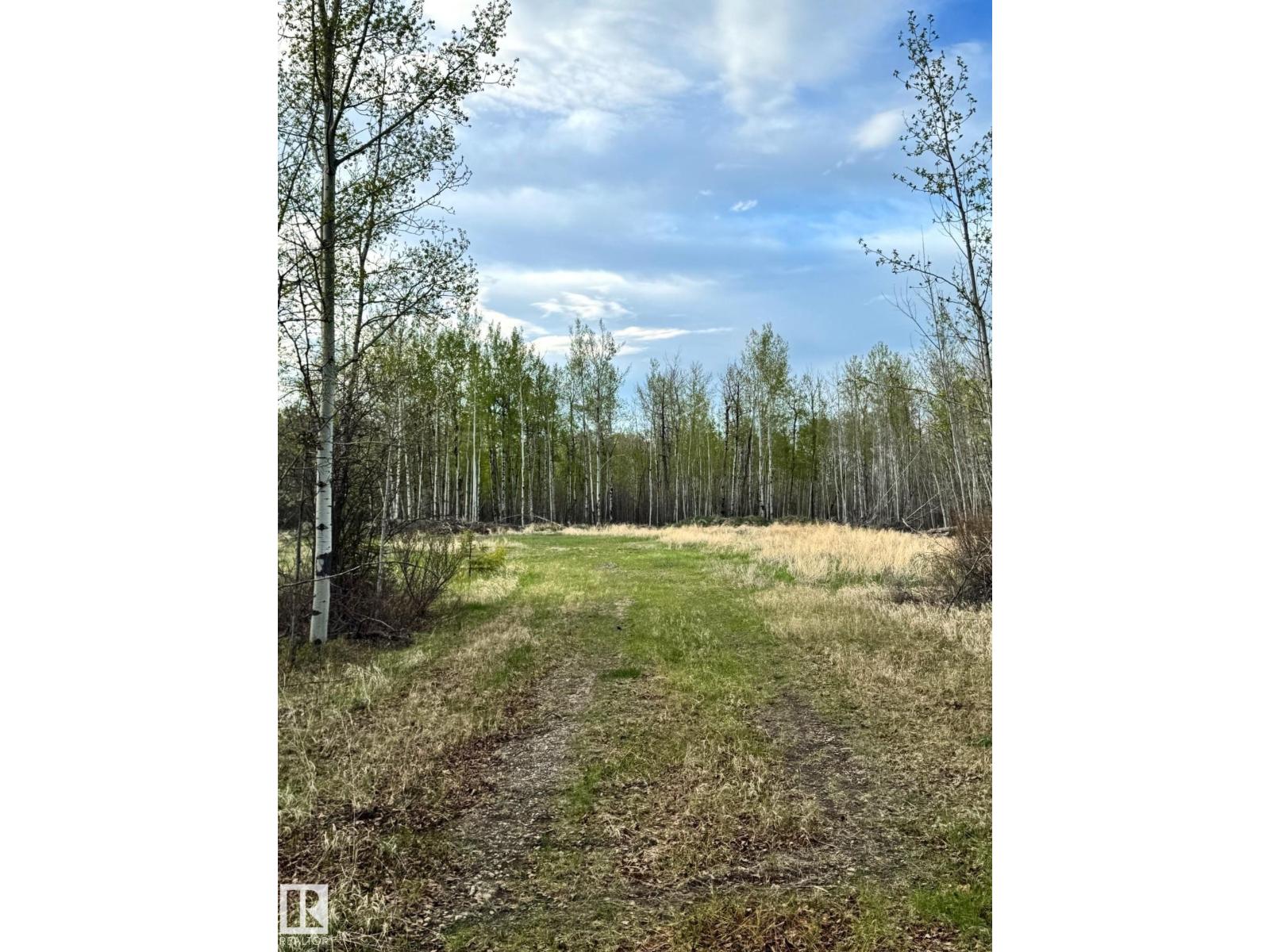 6206 Hwy 16, Rural Parkland County, Alberta  T0E 0W0 - Photo 8 - E4489251