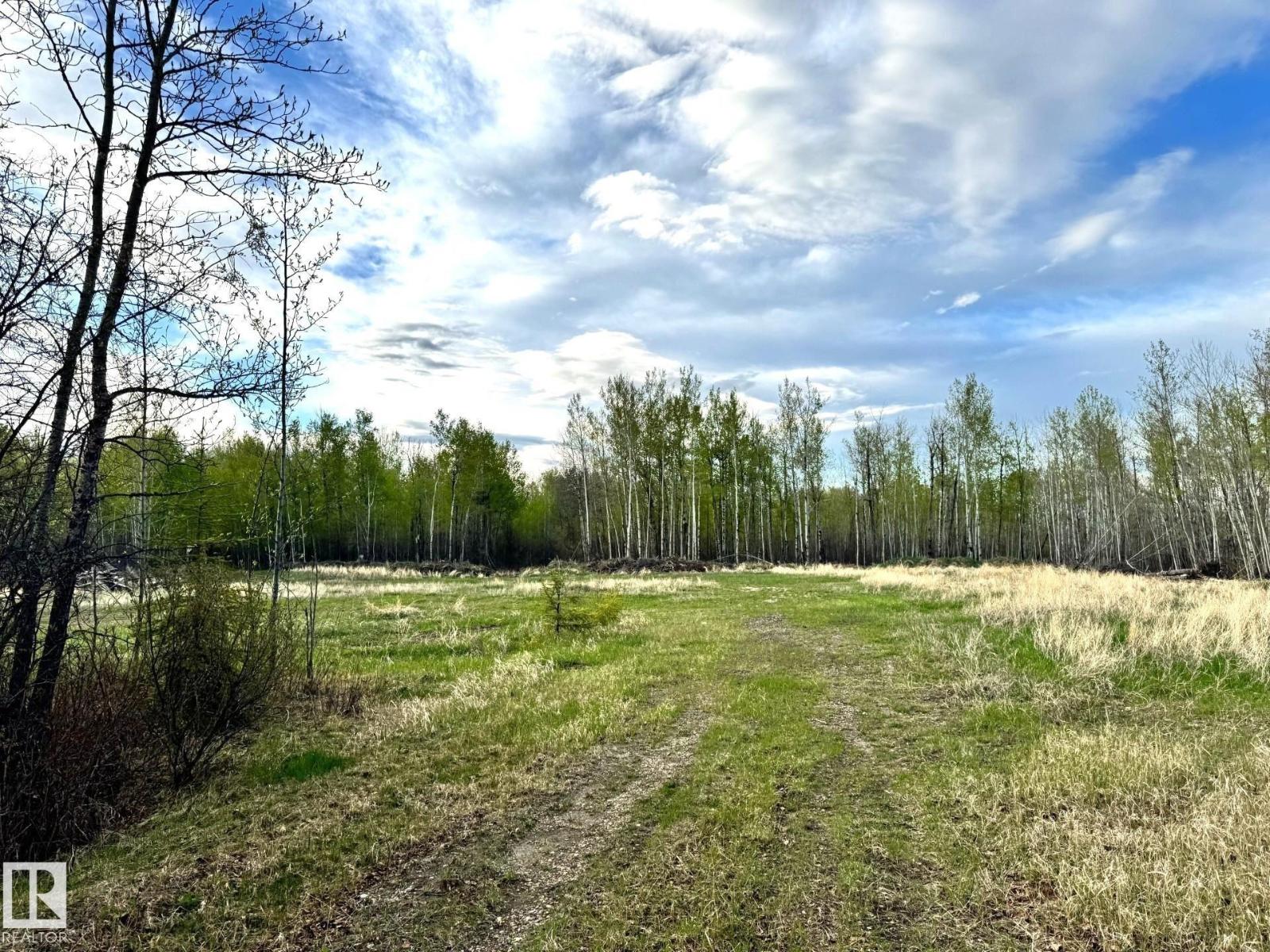 6206 Hwy 16, Rural Parkland County, Alberta  T0E 0W0 - Photo 9 - E4489251
