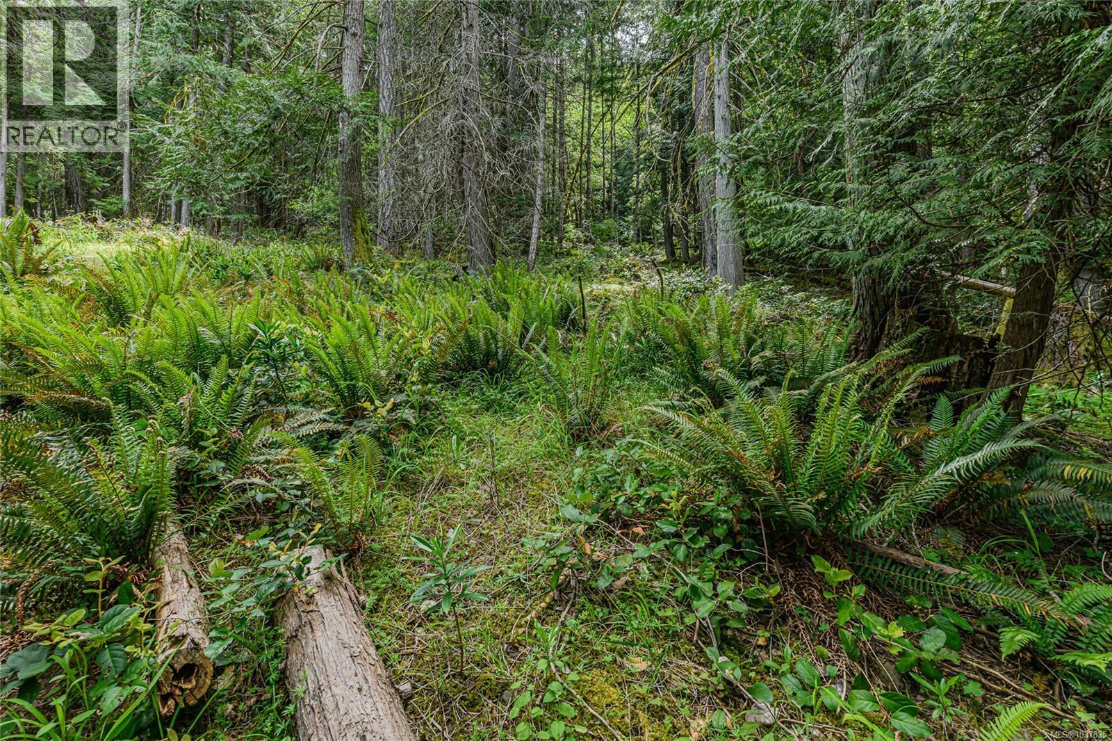 421 Mt. Belcher Hts, Salt Spring, British Columbia  V8K 2J5 - Photo 44 - 1037635