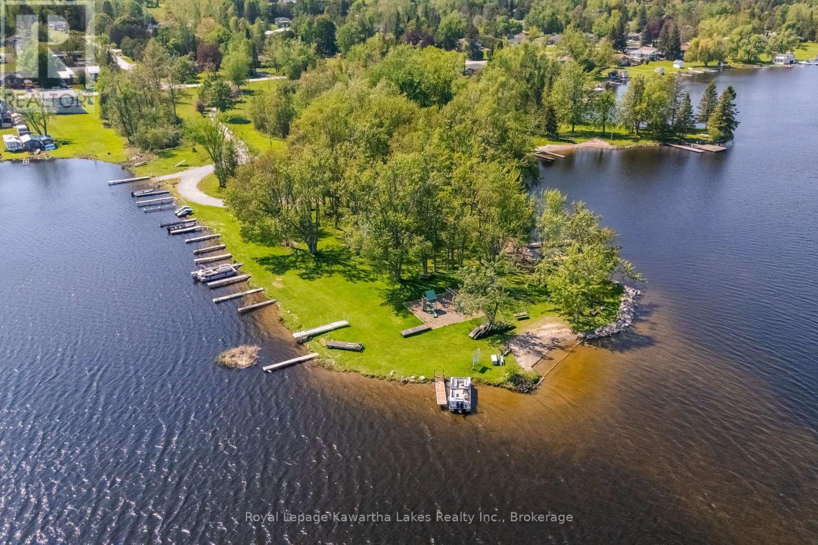 236 Crosby Drive, Kawartha Lakes, Ontario  K0M 1A0 - Photo 34 - X13212334