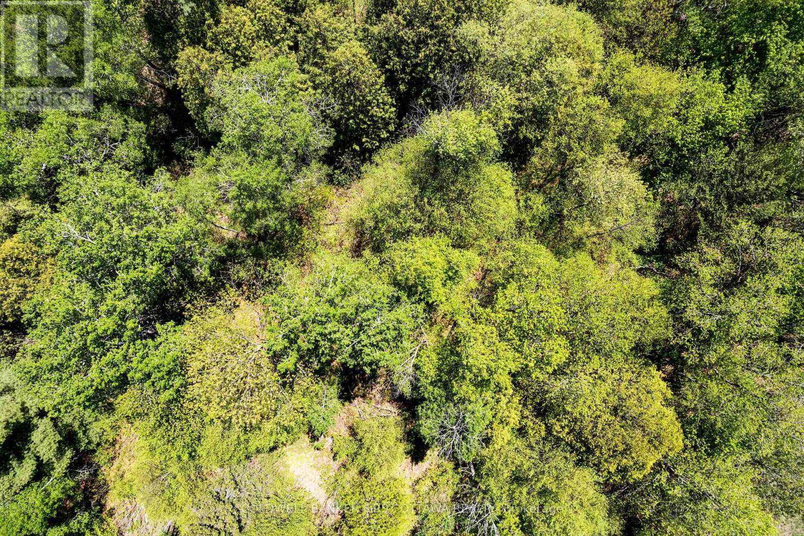 00 Dalhousie Concession 3, Lanark Highlands, Ontario K0G 1K0 - Photo 2 - X13212356