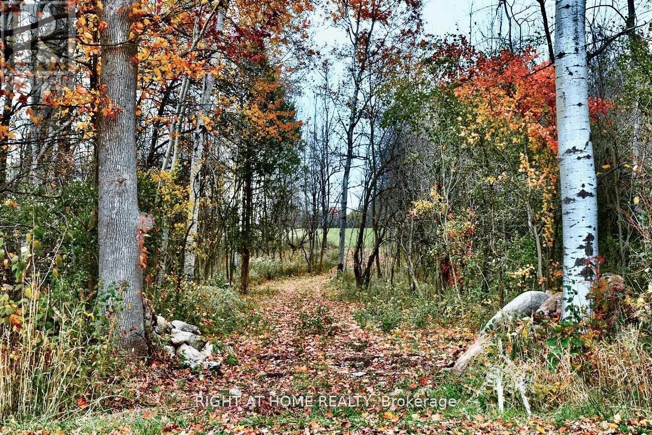 397641 10 Concession, Meaford, Ontario  N4K 5N8 - Photo 7 - X13212280