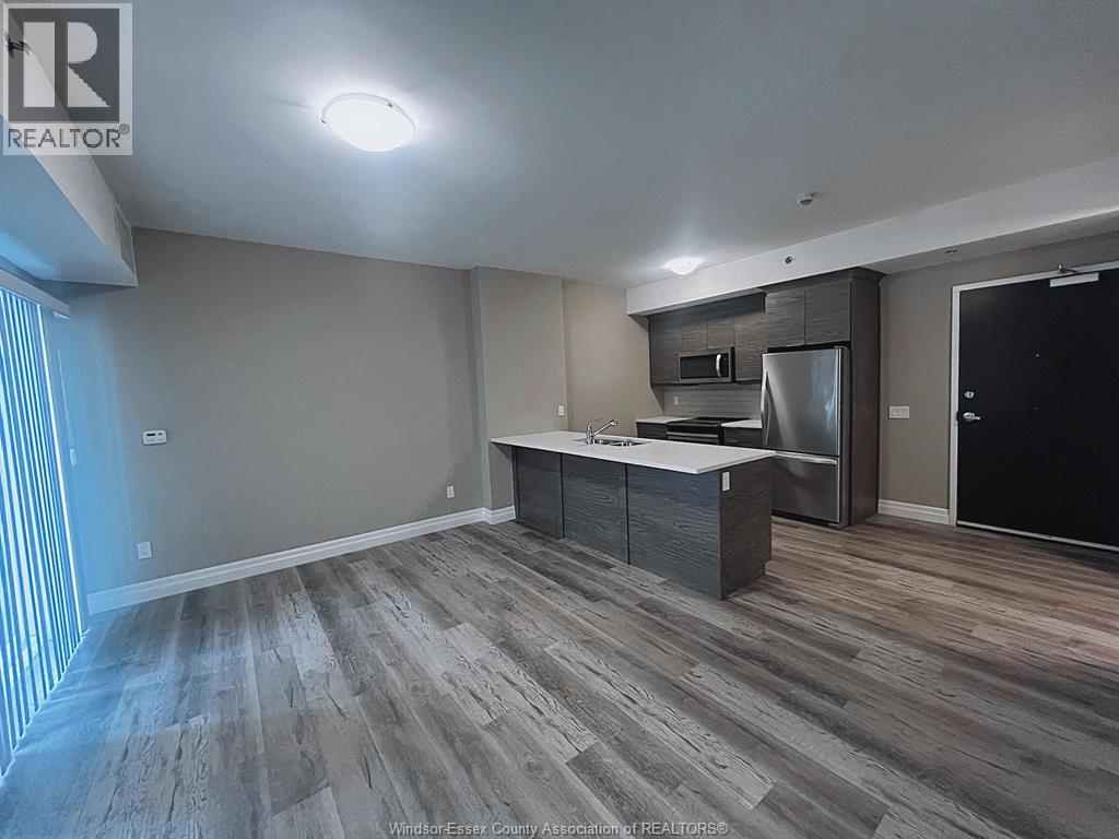 955 Ouellette Avenue Unit# 102, Windsor, Ontario N9A 4J5 - Photo 12 - 26012469