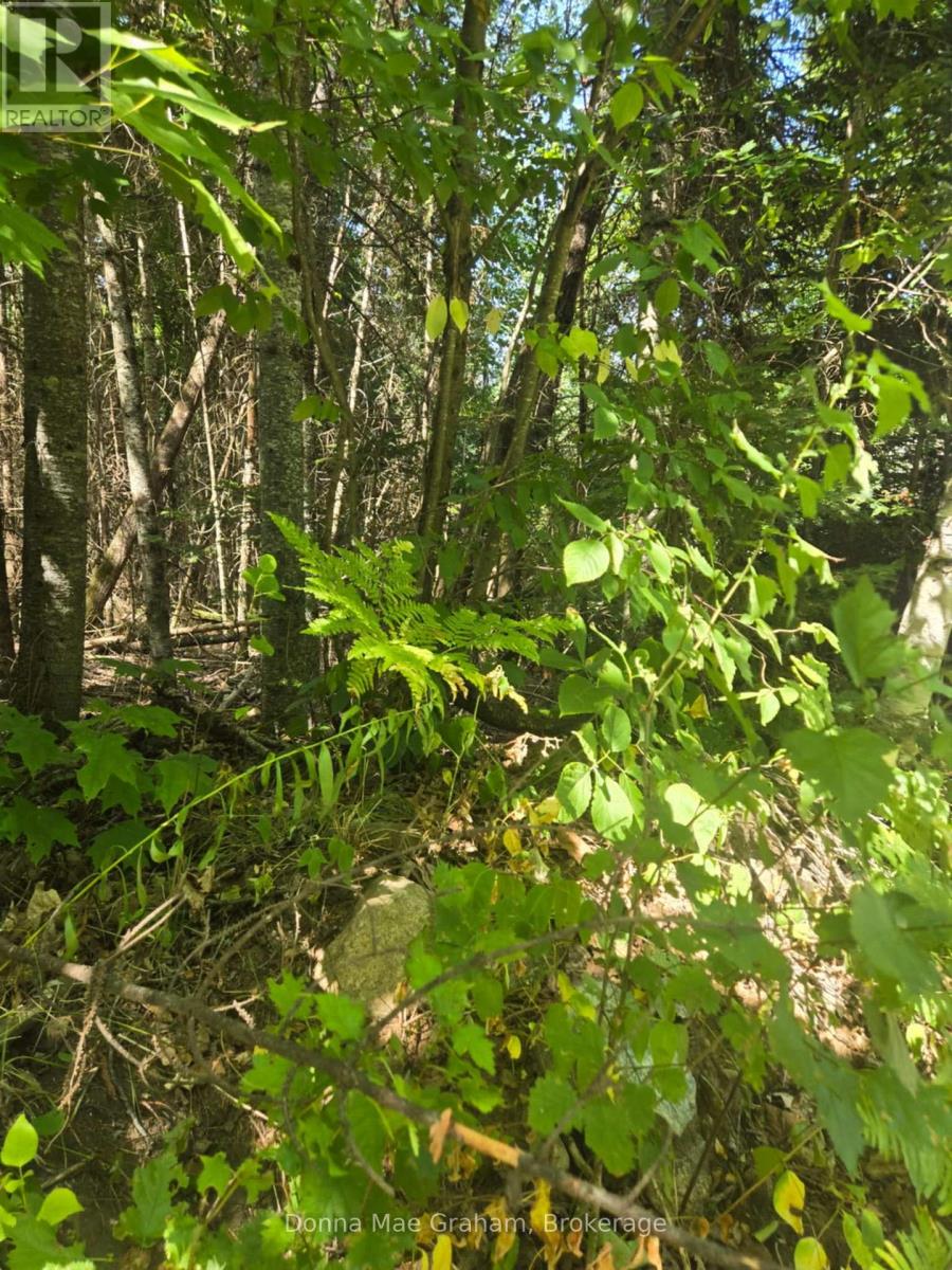 0 Macduff Road Acres E, Highlands East, Ontario  K0L 3C0 - Photo 1 - X12339012