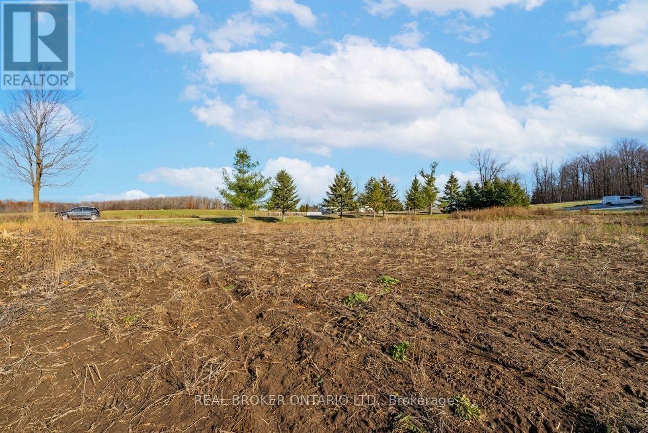 6449 12 13 Side Road, Clearview, Ontario  L0M 1N0 - Photo 22 - S12562460