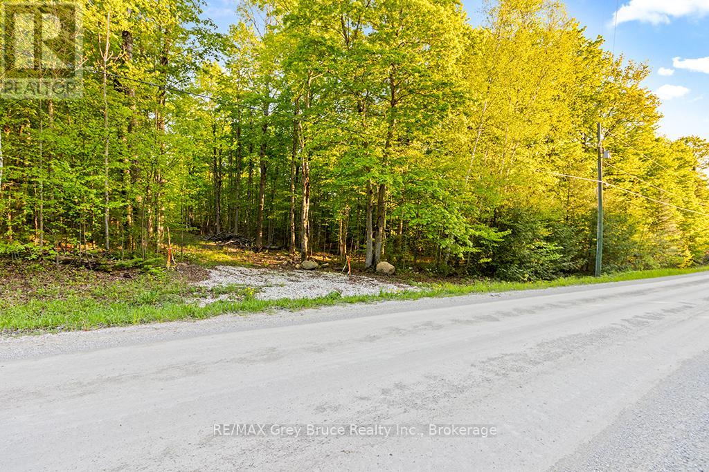Part Lot 20 Concession Road 14 Concession, Georgian Bluffs, Ontario  N0H 2K0 - Photo 13 - X13212578