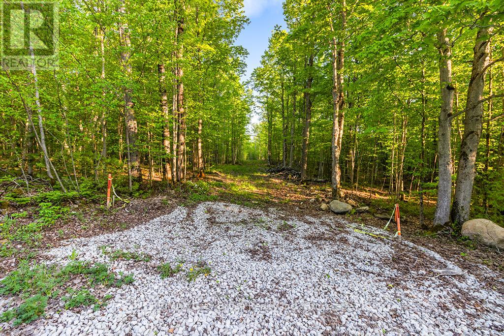 Part Lot 20 Concession Road 14 Concession, Georgian Bluffs, Ontario  N0H 2K0 - Photo 14 - X13212578