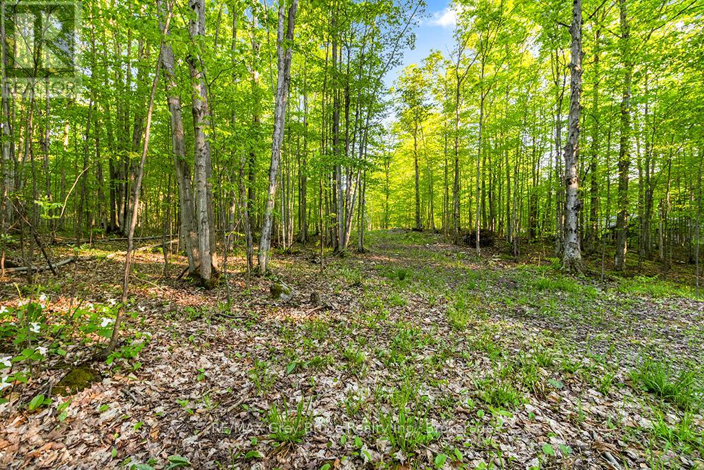 Part Lot 20 Concession Road 14 Concession, Georgian Bluffs, Ontario  N0H 2K0 - Photo 16 - X13212578