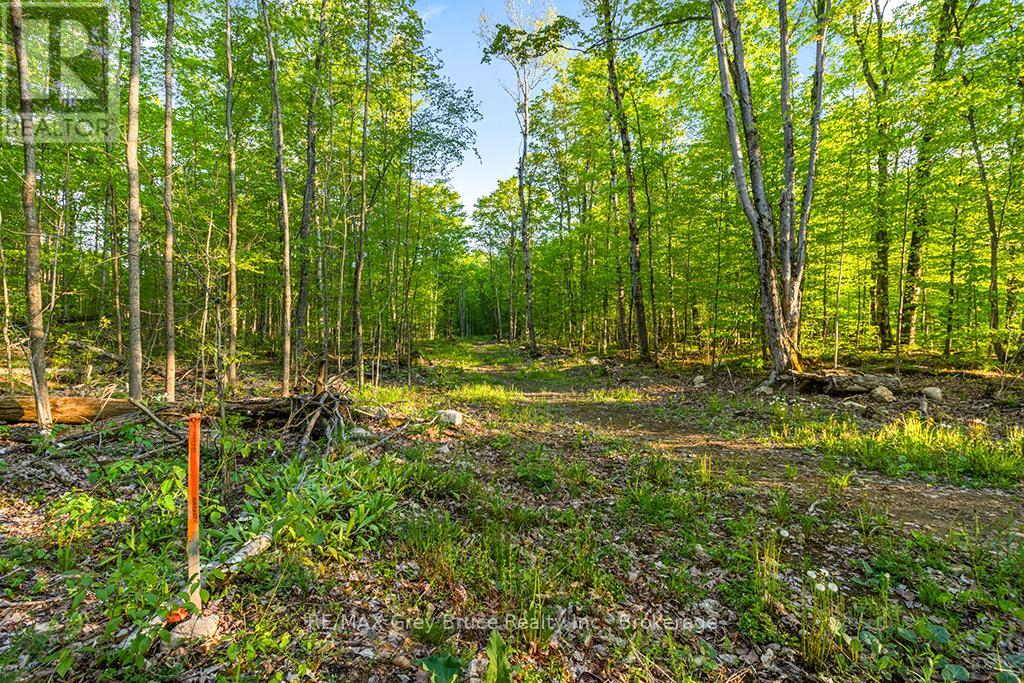 Part Lot 20 Concession Road 14 Concession, Georgian Bluffs, Ontario  N0H 2K0 - Photo 17 - X13212578