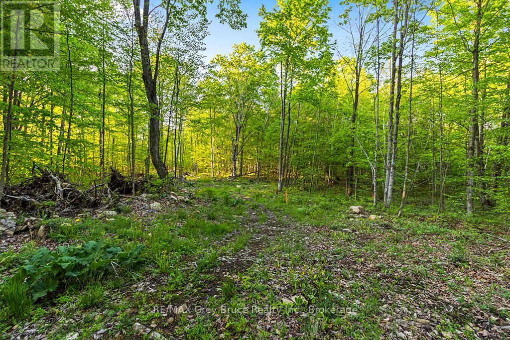 Part Lot 20 Concession Road 14 Concession, Georgian Bluffs, Ontario  N0H 2K0 - Photo 19 - X13212578