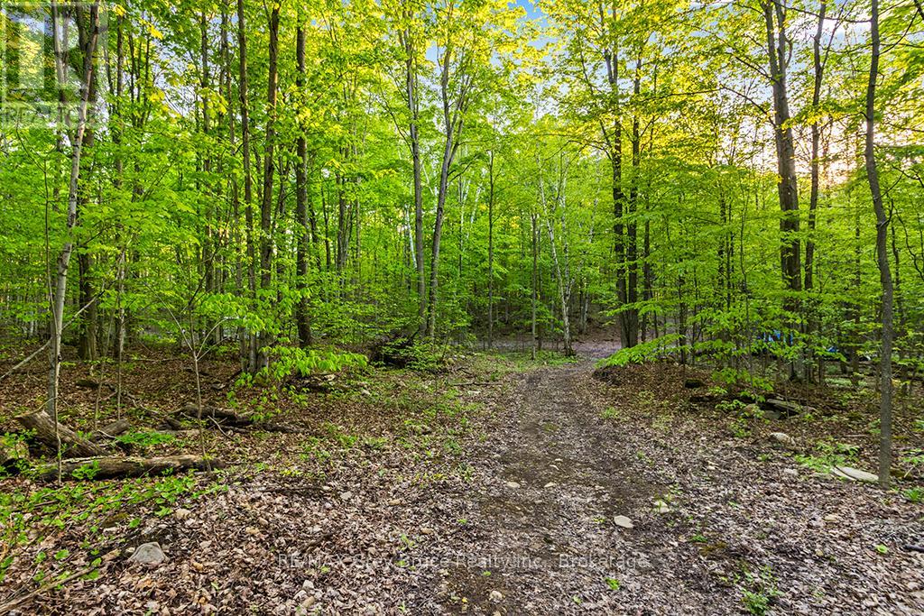 Part Lot 20 Concession Road 14 Concession, Georgian Bluffs, Ontario  N0H 2K0 - Photo 20 - X13212578