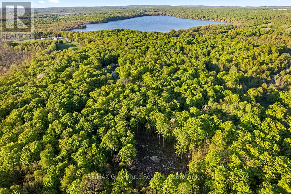 Part Lot 20 Concession Road 14 Concession, Georgian Bluffs, Ontario  N0H 2K0 - Photo 23 - X13212578
