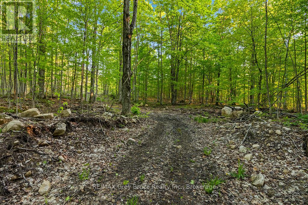 Part Lot 20 Concession Road 14 Concession, Georgian Bluffs, Ontario  N0H 2K0 - Photo 4 - X13212578