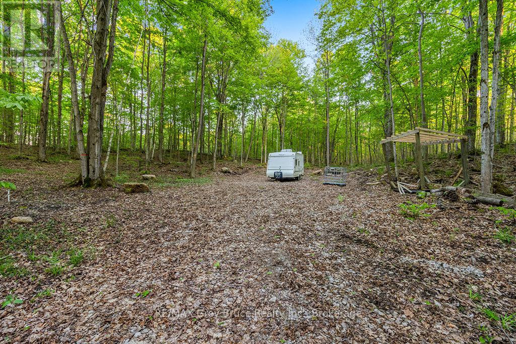 Part Lot 20 Concession Road 14 Concession, Georgian Bluffs, Ontario  N0H 2K0 - Photo 5 - X13212578