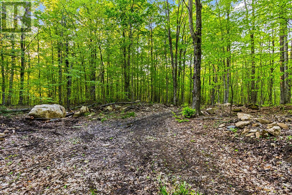Part Lot 20 Concession Road 14 Concession, Georgian Bluffs, Ontario  N0H 2K0 - Photo 9 - X13212578
