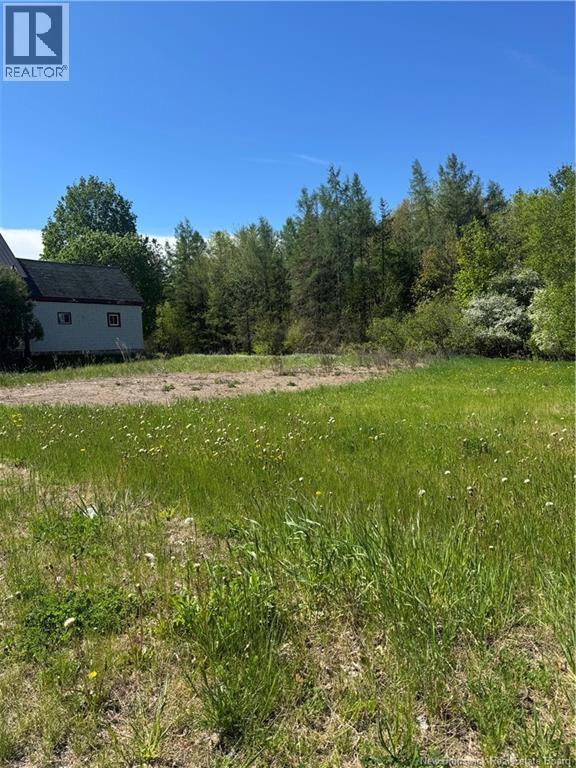 62 Church Street, St. Stephen, New Brunswick  E3L 1M5 - Photo 7 - NB139921