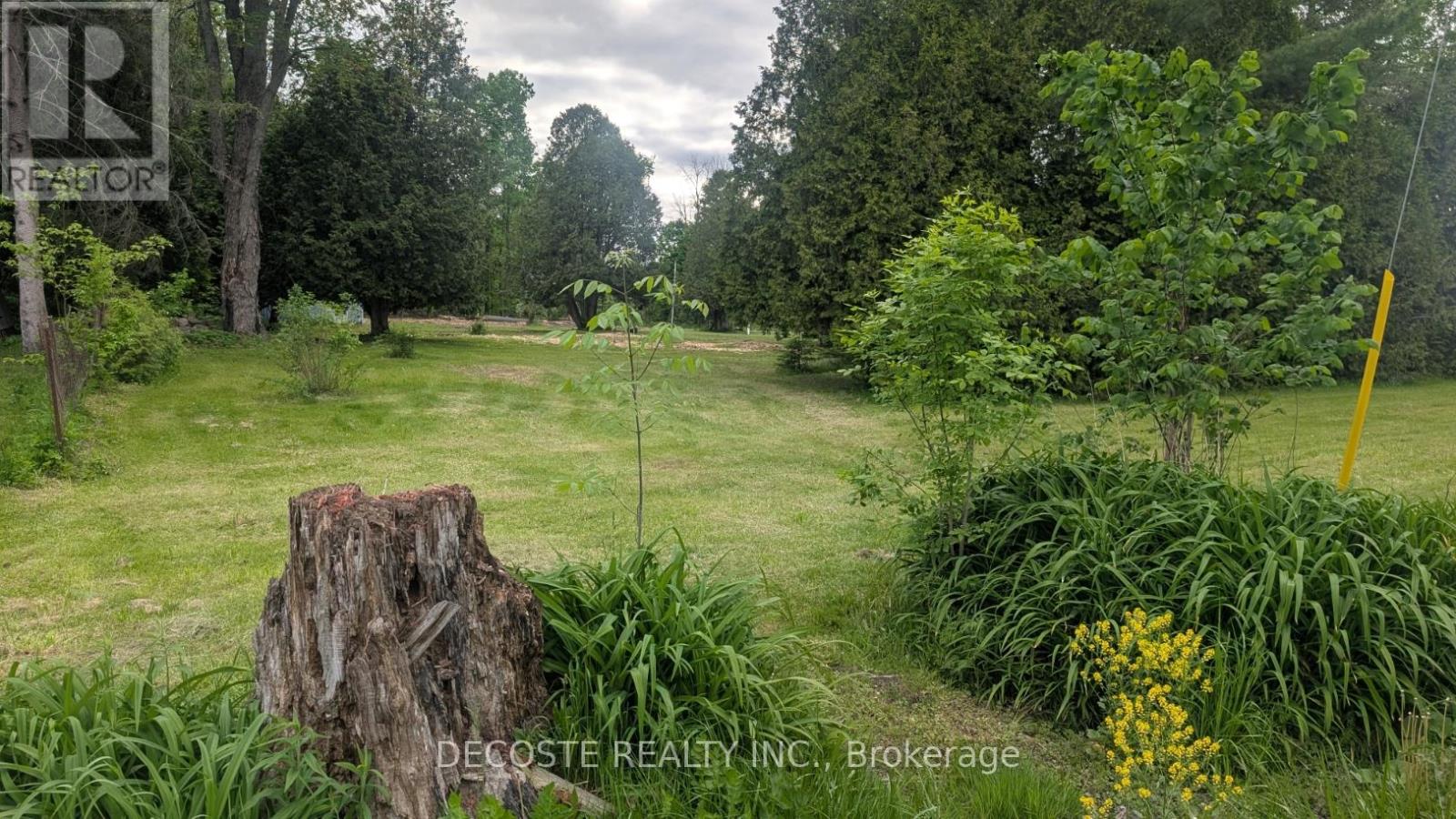 19092 Cameron Street, North Glengarry, Ontario  K0C 1A0 - Photo 4 - X13212832
