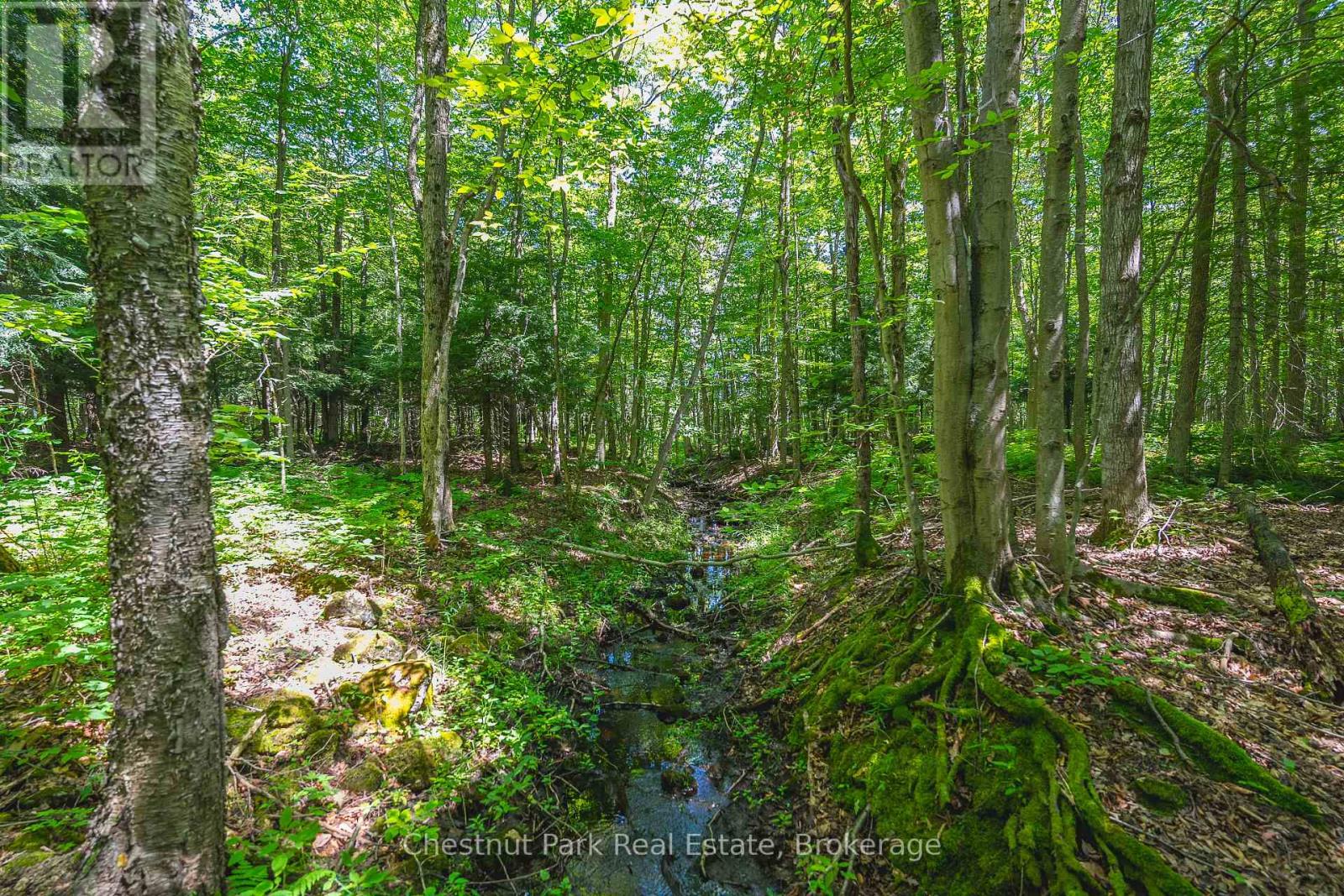 600380 Sideroad 50 N, Chatsworth, Ontario  N0H 1C0 - Photo 45 - X13212790