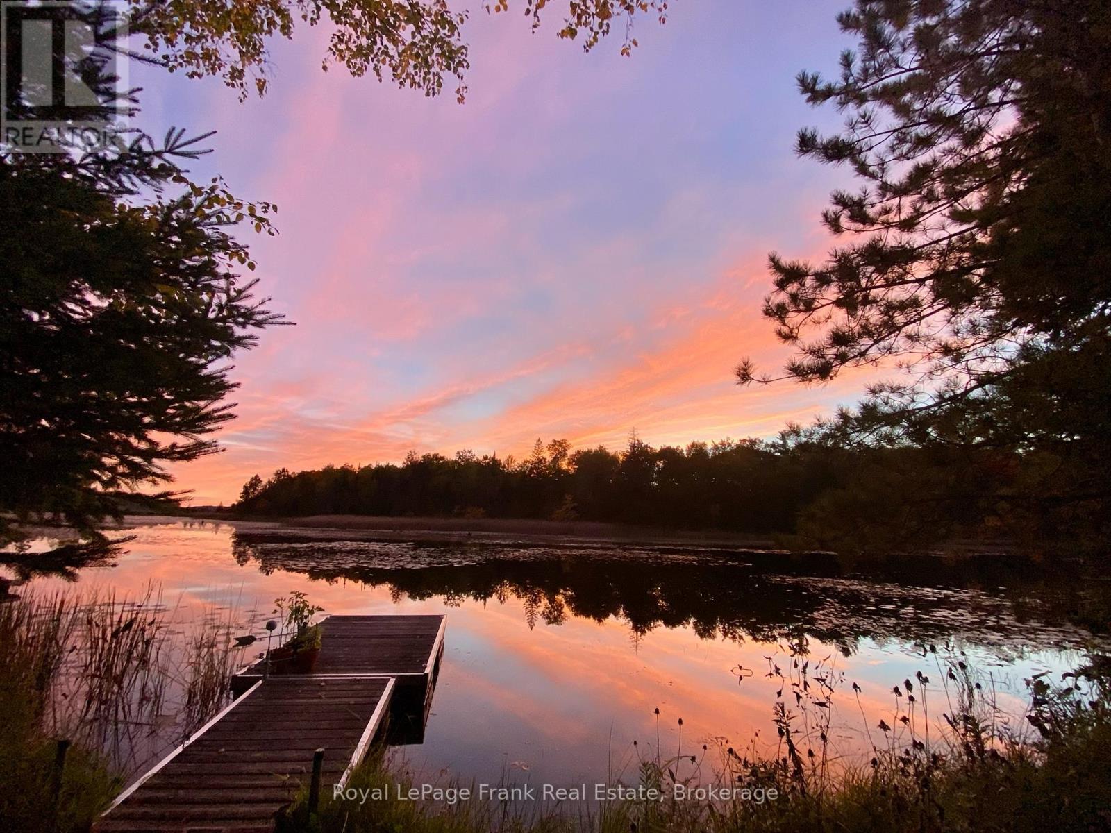 59 Grantsville Trail, Trent Lakes, Ontario  K0L 1J0 - Photo 10 - X13212778