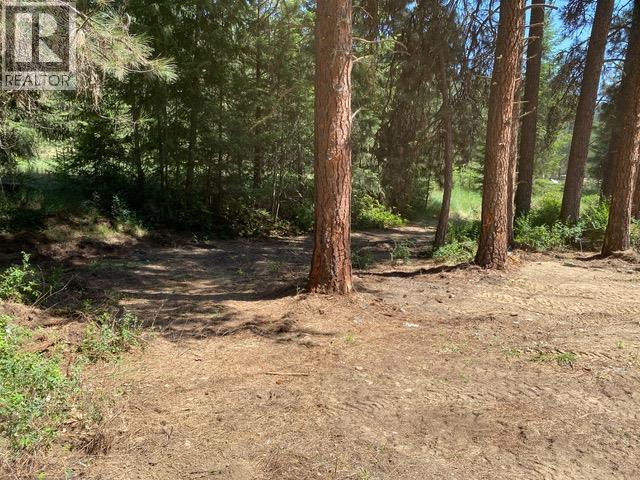 995 395 Highway, Christina Lake, British Columbia  V0H 1E0 - Photo 5 - 10380048
