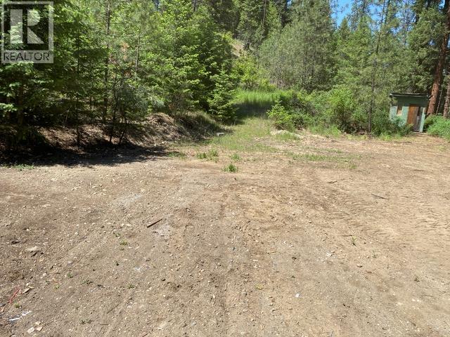 995 395 Highway, Christina Lake, British Columbia  V0H 1E0 - Photo 4 - 10380048