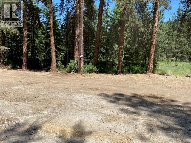 995 395 Highway, Christina Lake, British Columbia  V0H 1E0 - Photo 2 - 10380048