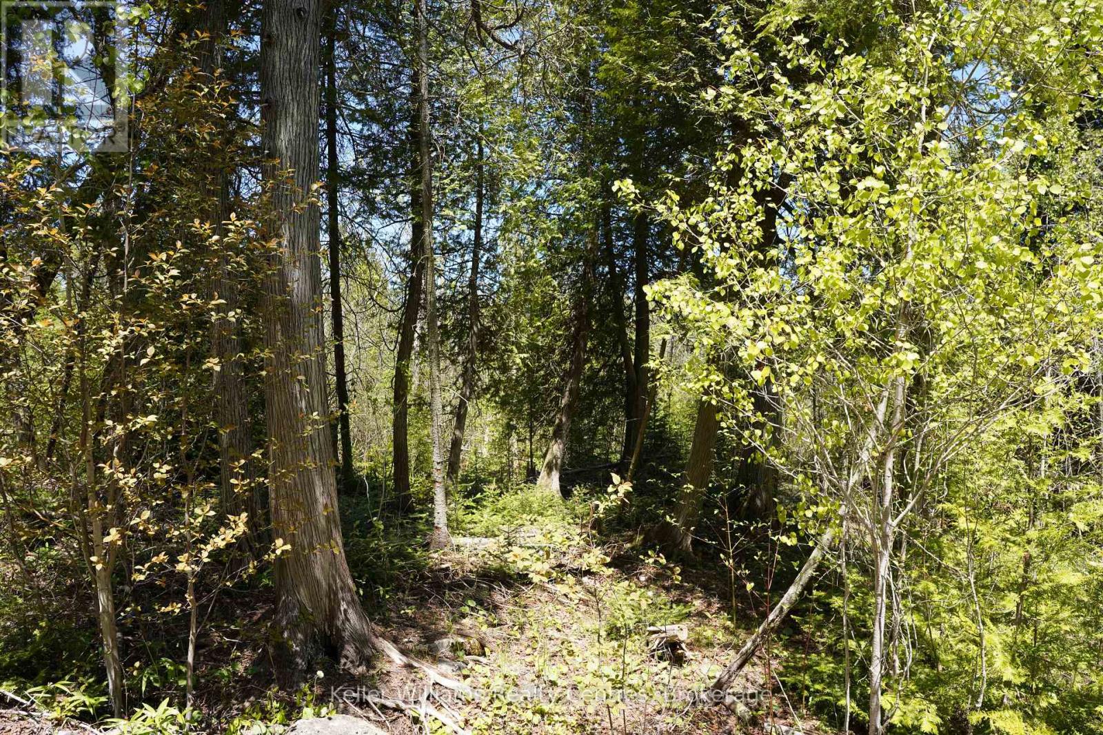 Pt Lt 36 Walter Charman Drive, Northern Bruce Peninsula, Ontario  N0H 2M0 - Photo 6 - X12628256