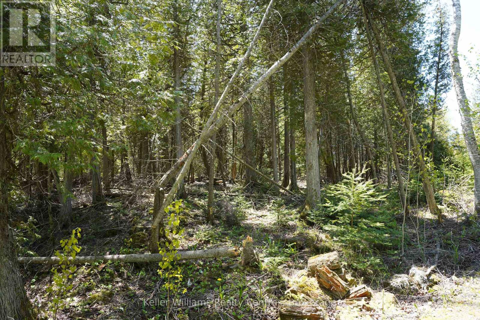 Pt Lt 36 Walter Charman Drive, Northern Bruce Peninsula, Ontario  N0H 2M0 - Photo 7 - X12628256