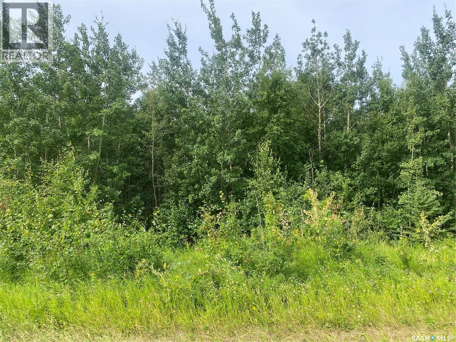 Hwy 2 N Acreage Land, Paddockwood Rm No. 520, Saskatchewan  S0J 2N0 - Photo 1 - SK017017