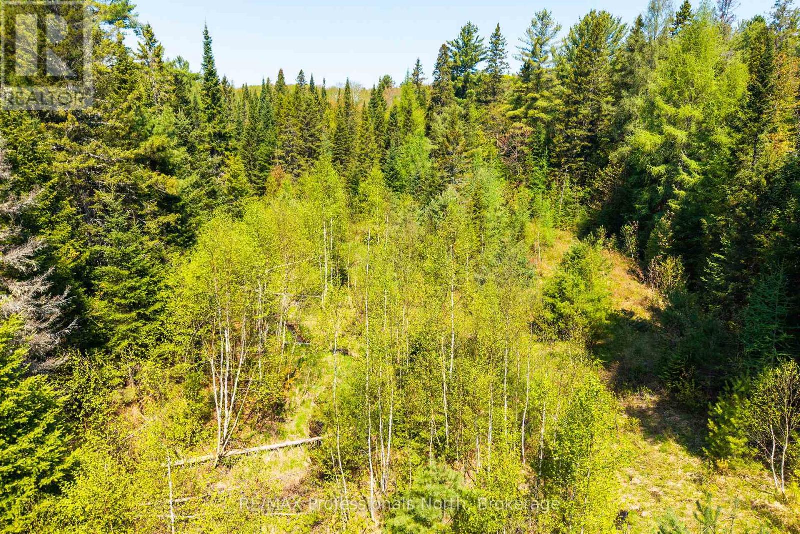 3116 Old Muskoka Road, Huntsville, Ontario P0B 1M0 - Photo 17 - X13213166