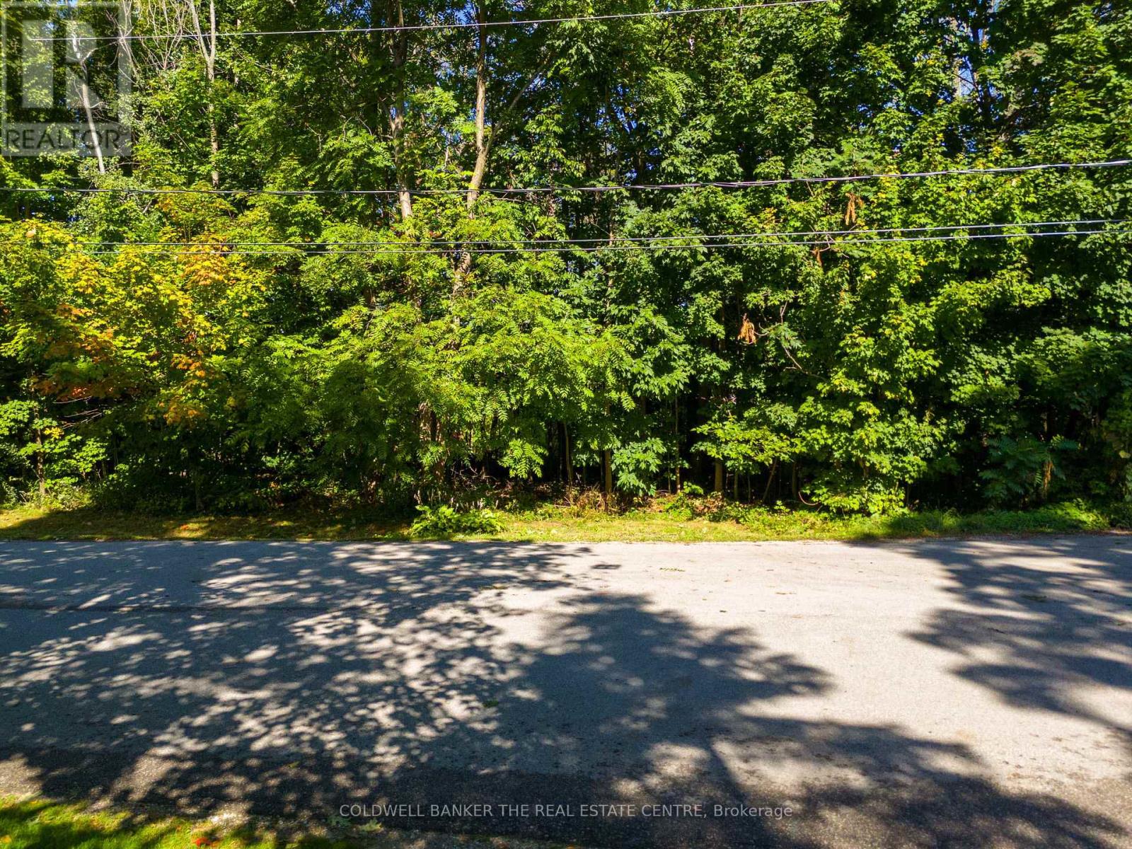 Lot 30 & Part Lot 29 Purvis Street, Innisfil, Ontario  L9S 3K4 - Photo 20 - N13213394