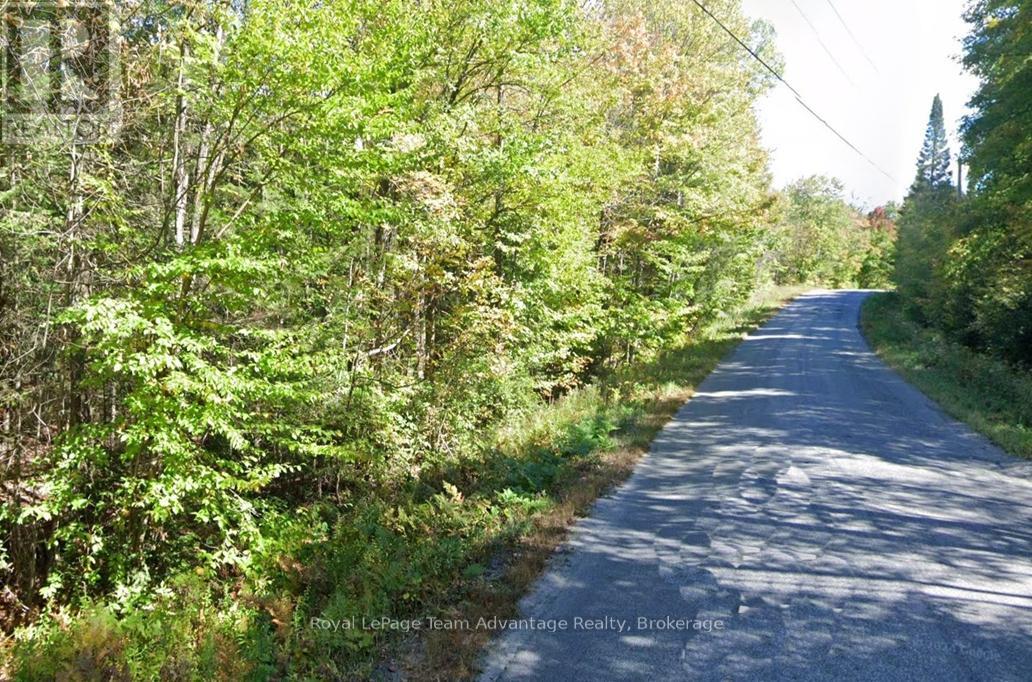 0 Hurdville Road S, Mckellar, Ontario  P2A 0B5 - Photo 3 - X13213544