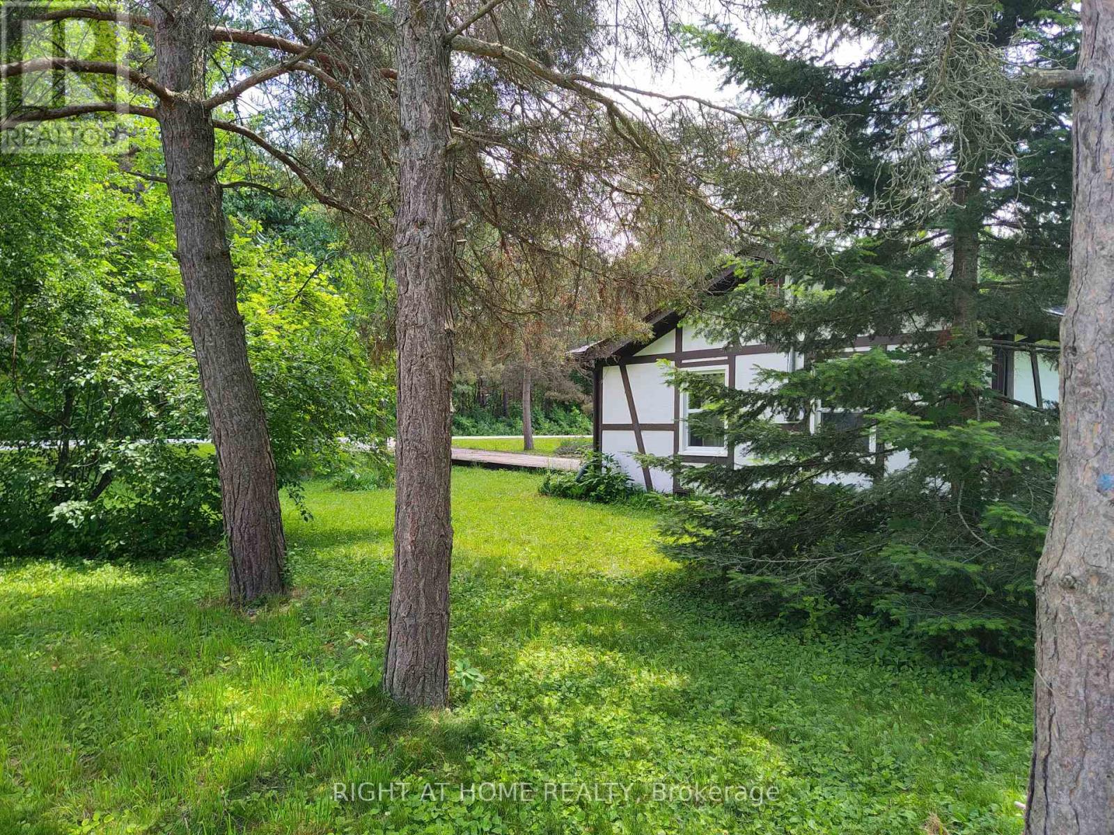 110 Ethel Park Drive, Brock, Ontario  L0K 1A0 - Photo 6 - N13213618