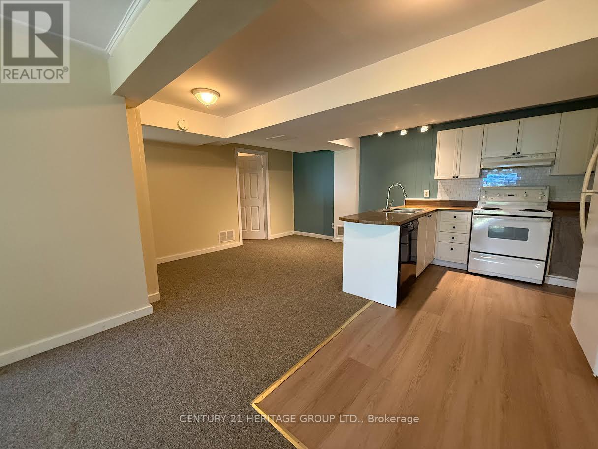 Bsmt - 927 Srigley Street, Newmarket, Ontario  L3Y 1Y2 - Photo 3 - N13213736